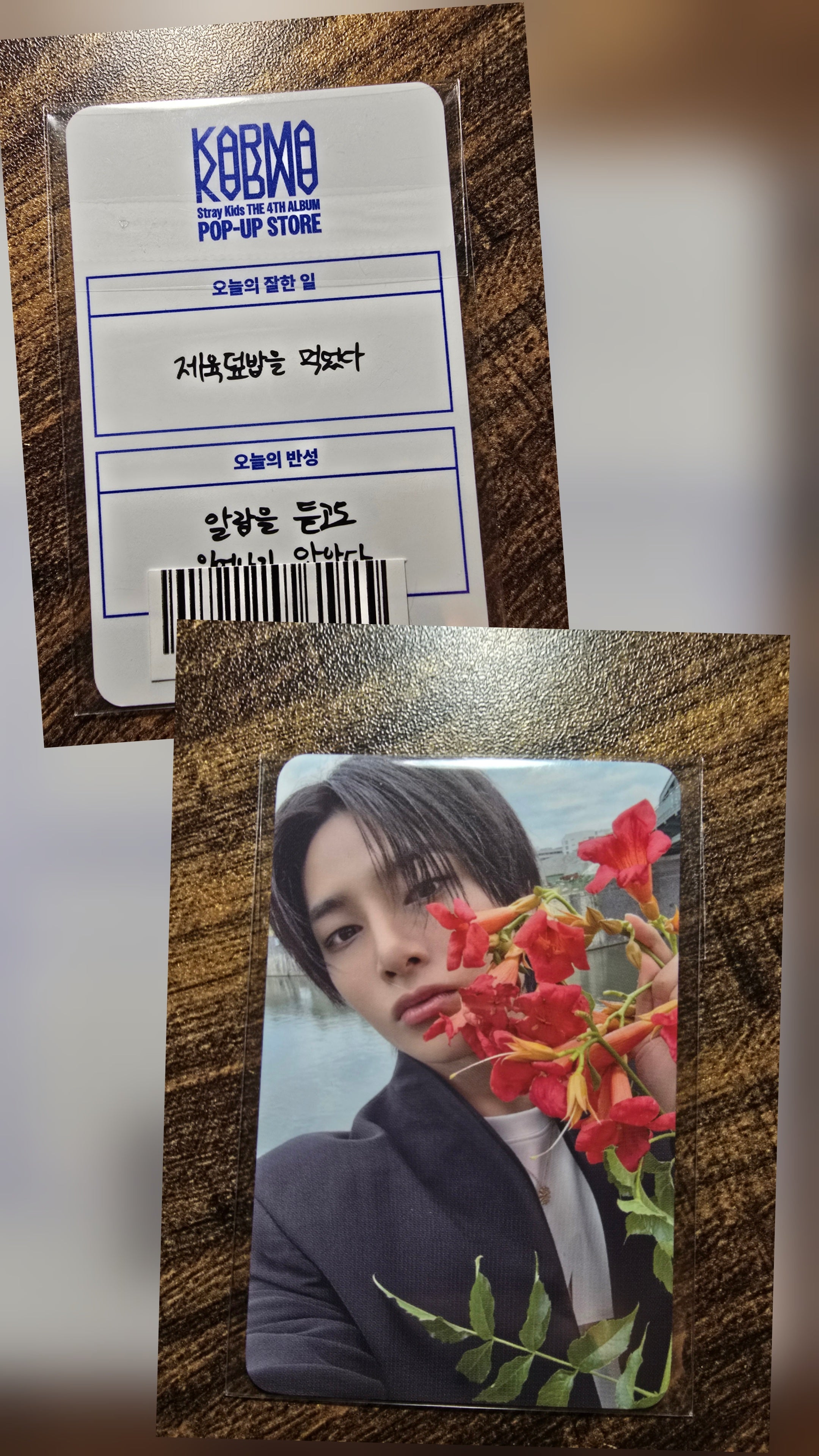 Official Stray Kids PC - Karma