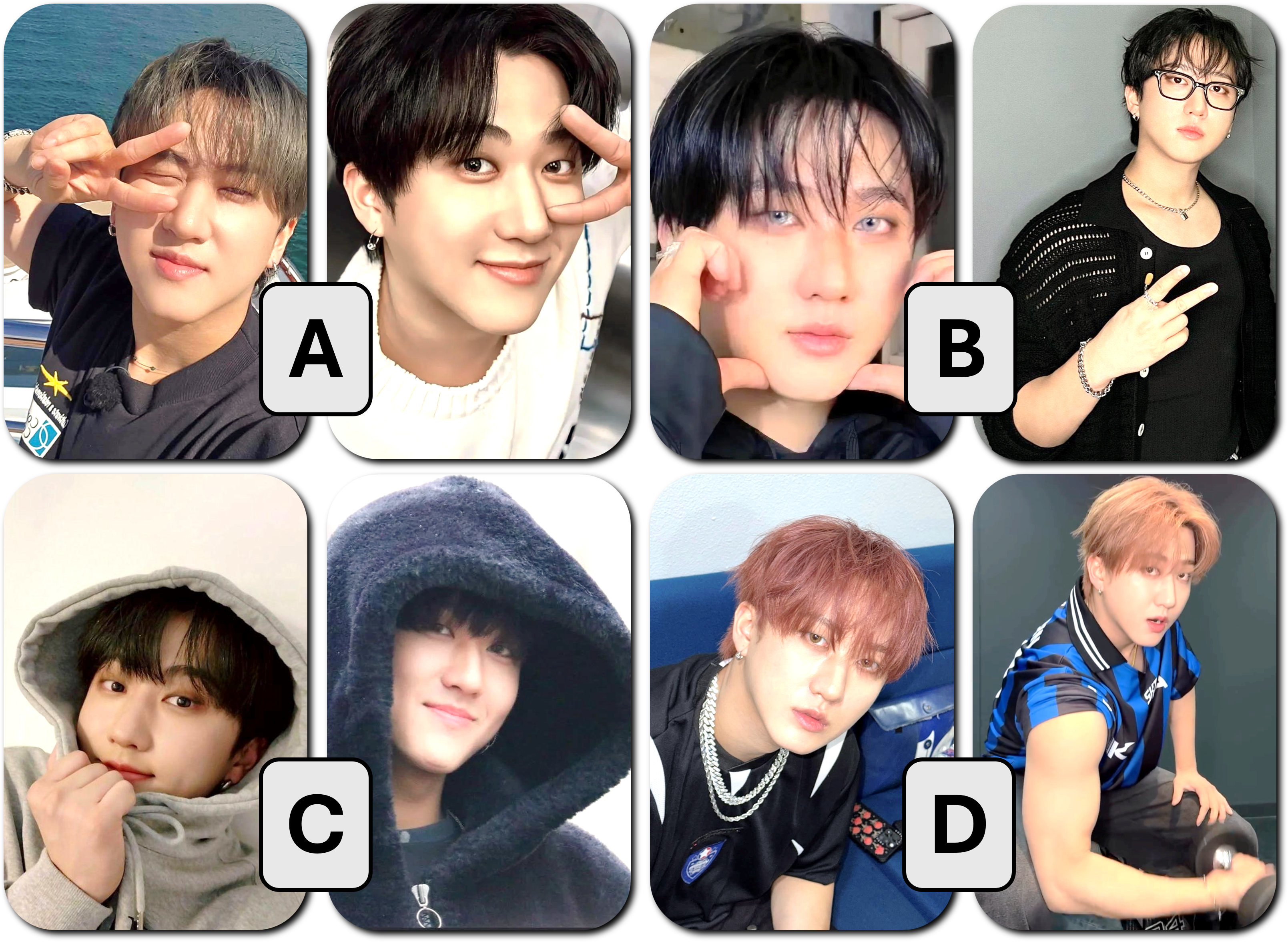 Stray Kids LOMO PCs (2-pack)