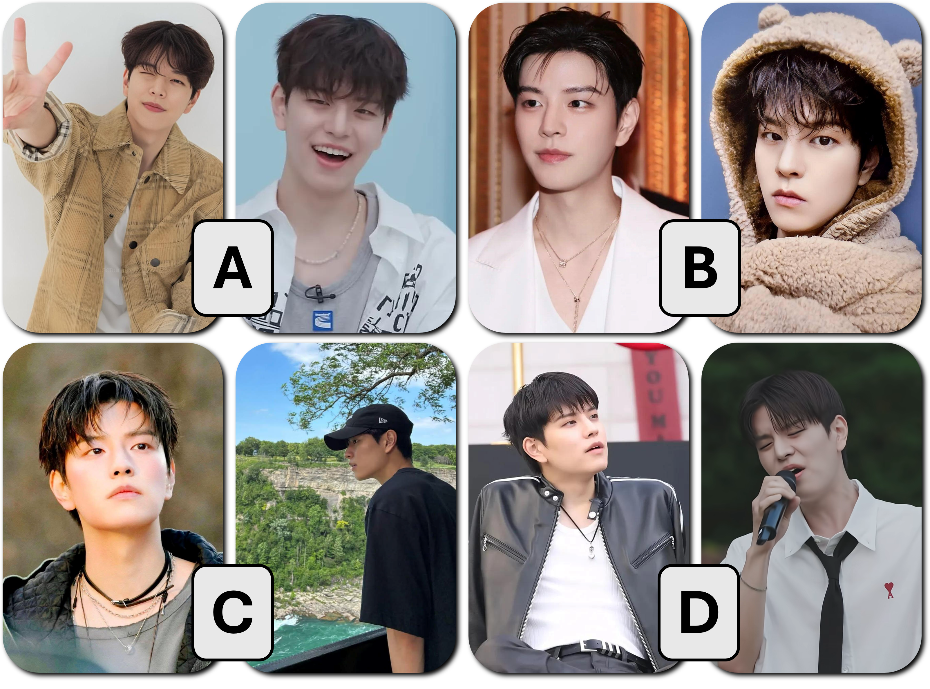 Stray Kids LOMO PCs (2-pack)